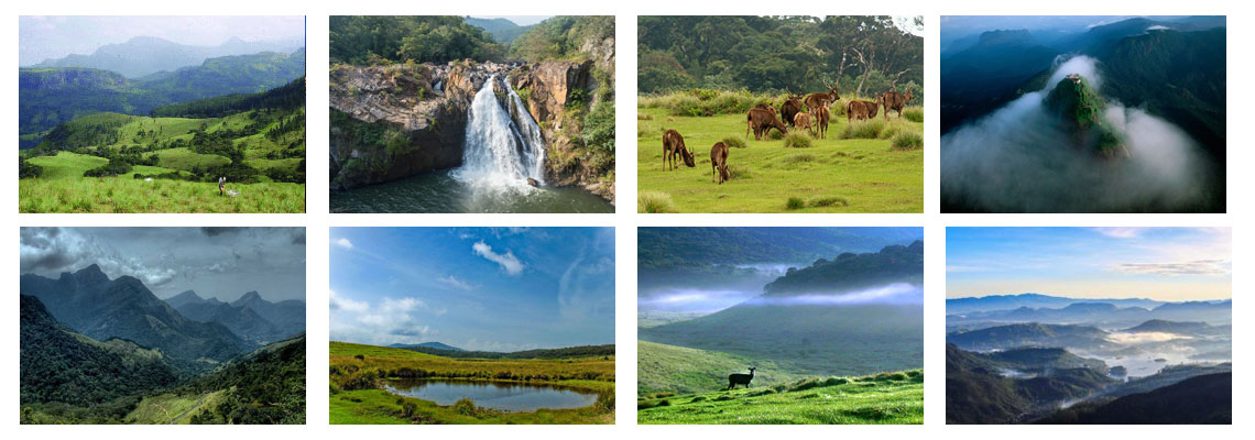Central Hilands Sri Lanka