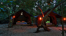 camping  Sri Lanka