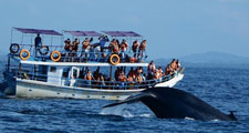 Mirissa