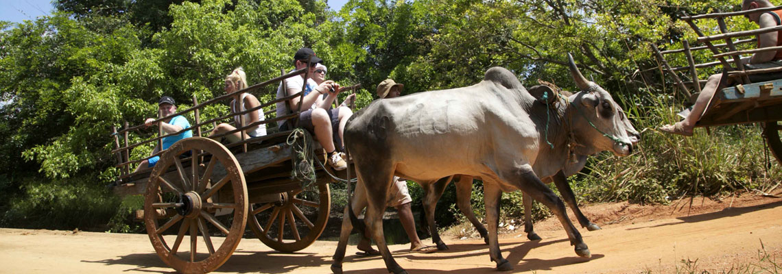 cart riding sri lanka, Village tours