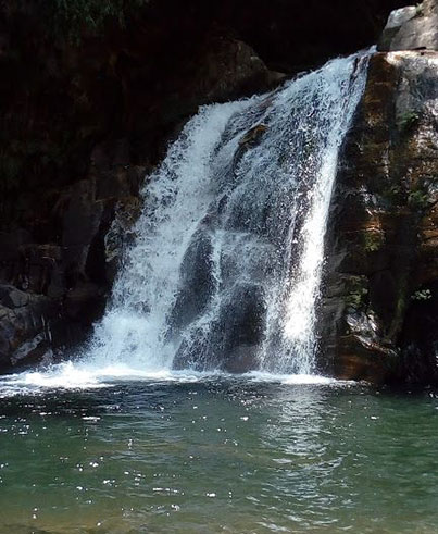 Sinharaja Rain Forest Sri Lanka